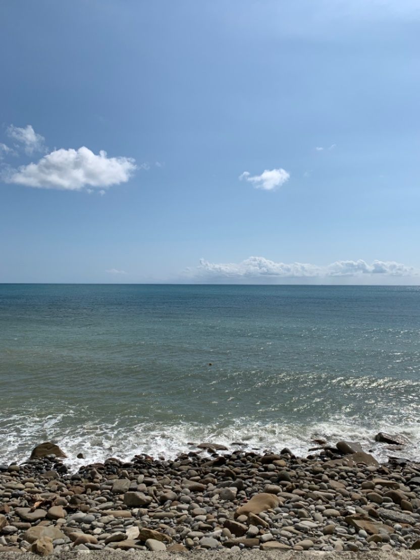 心得感想，書評活動