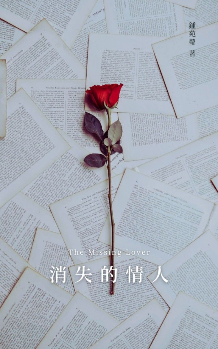 消失的情人 The Missing Lover