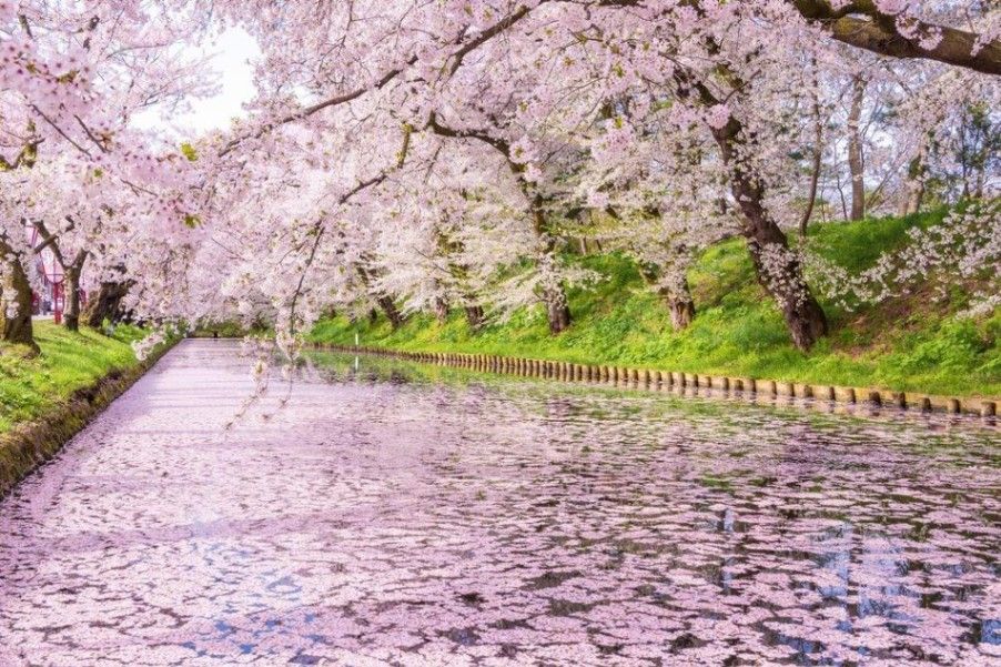 《幸福花名》戀歌情緣