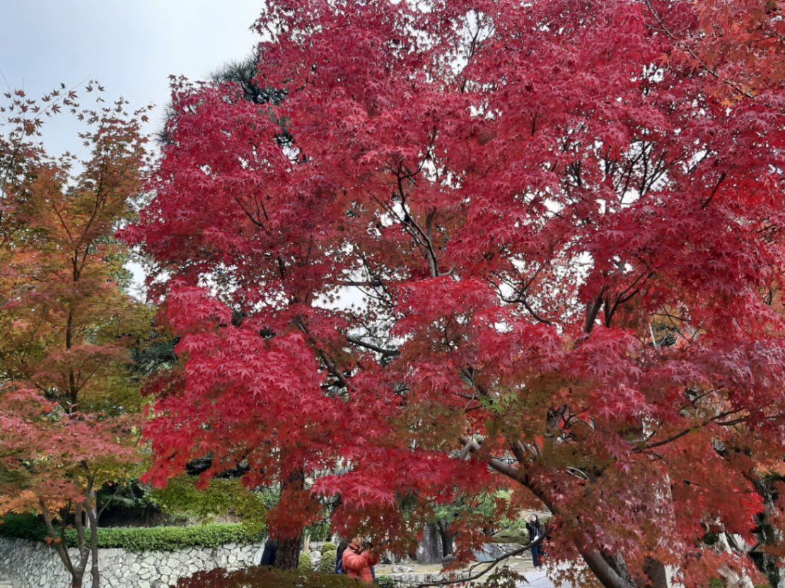 《偵探史詩》◇事件簿◇