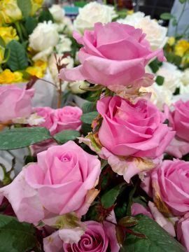 把愛大聲說出來！簡單書評！真的是簡單書評