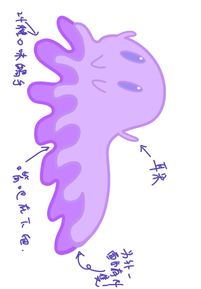 關於我在異世界冒險25年/天的那件事