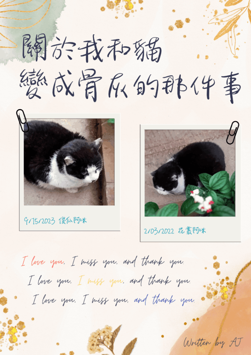 關於我和貓變成骨灰的那件事