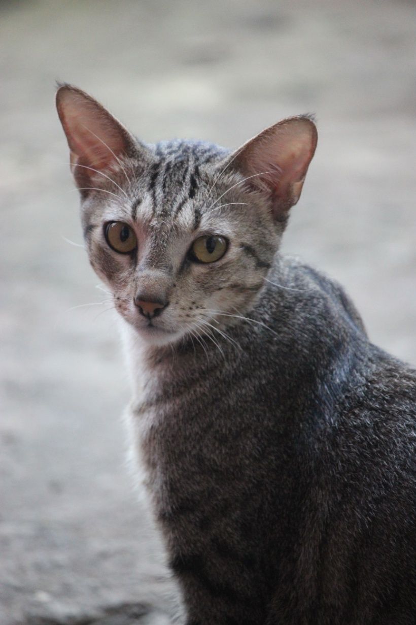 單方面的雙向救贖