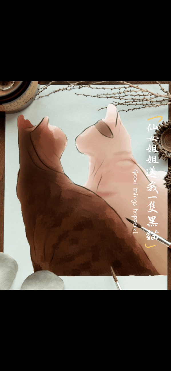 仙女姐姐送我一隻黑貓