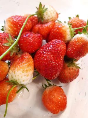 跛腳廚師的美食餐桌