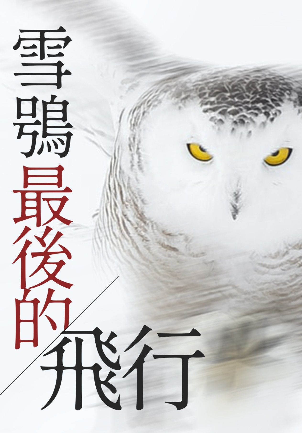 雪鴞最後的飛行